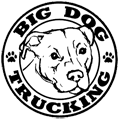 Big Dog